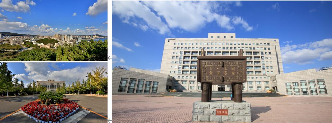 1606378353627810.jpg 19.jpg